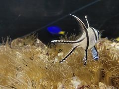 -欢乐海岸海洋奇梦馆