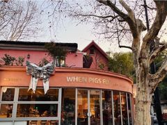 -WHEN PIGS FLY当猪飞