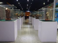 -中国第四纪冰川遗迹陈列馆