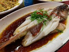 清蒸东星斑-202特色排档(五缘湾店)