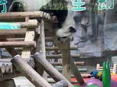 -栾川竹海野生动物园