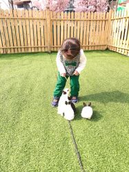 -萌宠亲子动物乐园(槐房万达店)