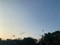 -南宁南湖公园