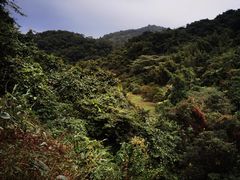 -梧桐山风景名胜区