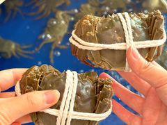 -阳澄湖大闸蟹·琼灵阁牌品牌连锁(吴中总店)