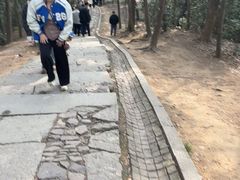 -灵顺寺