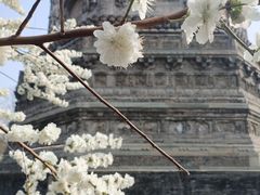 -玲珑塔公园