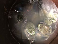 -百味地锅鸡(二店·财校分店)