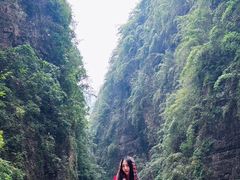 -重庆武隆天生三桥风景区-神鹰天坑