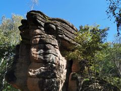 -汤旺河林海奇石景区