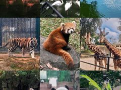 -广州动物园