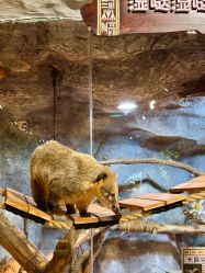 -Zoolung Zoolung动物主题公园(海信广场店)