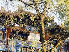 -北京国子监胡同