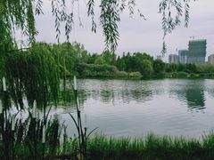 -滨湖塘西河公园
