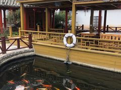 -香麒园·过桥米线·南湖雅宴