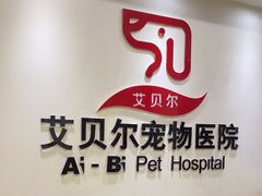 -艾贝尔宠物医院·24H转诊中心·肿瘤猫专科(江宁双龙店)
