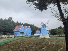 -宜兴龙背山森林公园