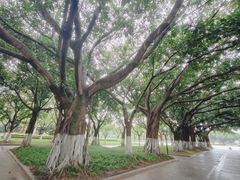 -厦门大学(思明校区)