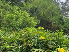 -深圳国际园林花卉博览园