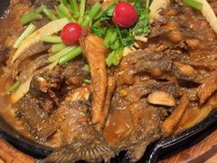 -老板恋上鱼(恒隆广场店)