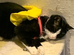 -微光私人影院(巴南万达店)