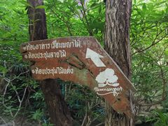 -绿光森林餐厅