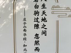 -青岛崂山太清宫