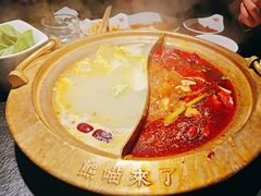 -熊喵来了火锅(太原里第2分店)
