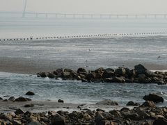 -深圳湾公园(南山区)