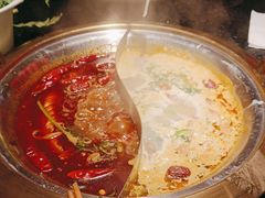 -熊喵来了火锅(长安万达第94分店)