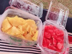 -春花秋色城市公园