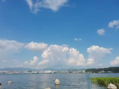 -洱海月湿地公园