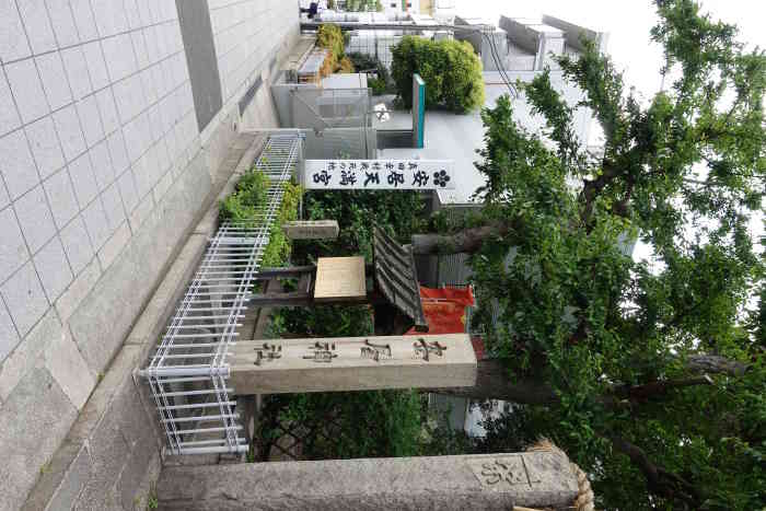 安居神社-"这个五分带点私心!因为自己很喜欢日本战国.