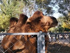 -长白岛森林公园