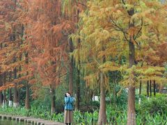 -重庆彩云湖湿地公园