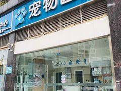 -菲尔斯特宠物医院