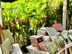 -大象粑粑造纸公园