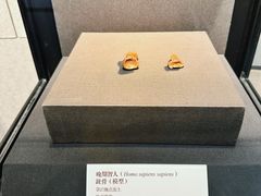 -北京周口店北京人遗址博物馆