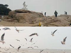 -老虎石海上公园