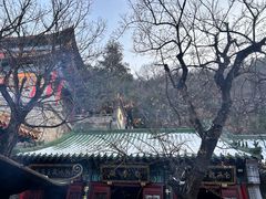 -千佛山风景名胜区
