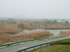 -灞河西岸滨河公园