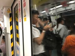 -竹子林(地铁站)