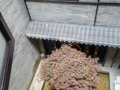 -归觅·西关小姐人文艺术馆(荔枝湾店)