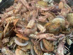 -大锅强·蒸海鲜青岛菜(吾悦广场店)