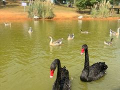 -鄱阳湖国家湿地公园