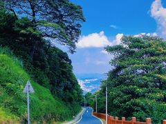 -黄埔油麻山森林公园