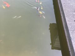 -宝界普菲特湖畔酒店