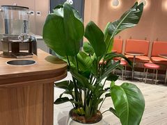 -Peet's 皮爷咖啡(杭州来福士店)