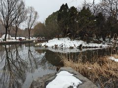 -洛阳市隋唐城遗址植物园