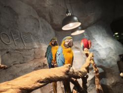 -Zoolung Zoolung动物主题公园(海信广场店)